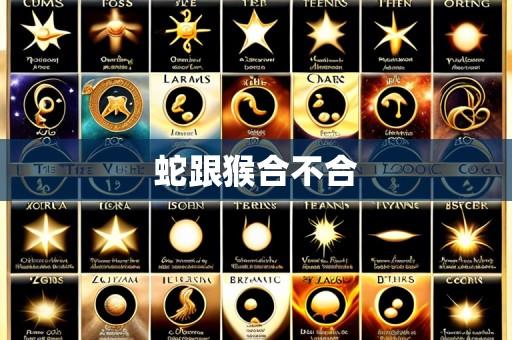 蛇跟猴合不合