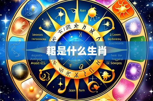 耜是什么生肖
