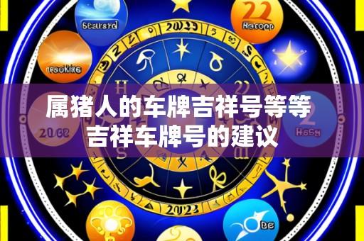 属猪人的车牌吉祥号等等 吉祥车牌号的建议