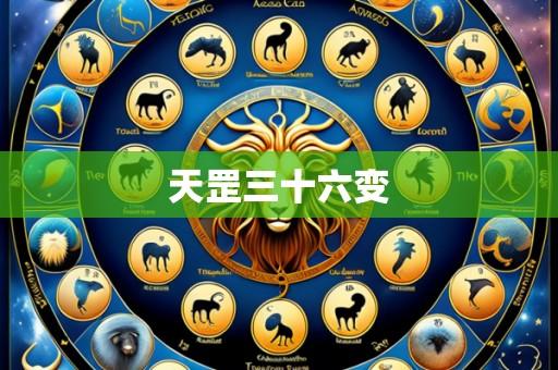 天罡三十六变
