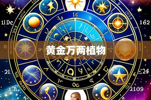 黄金万两植物