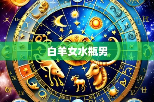 白羊女水瓶男