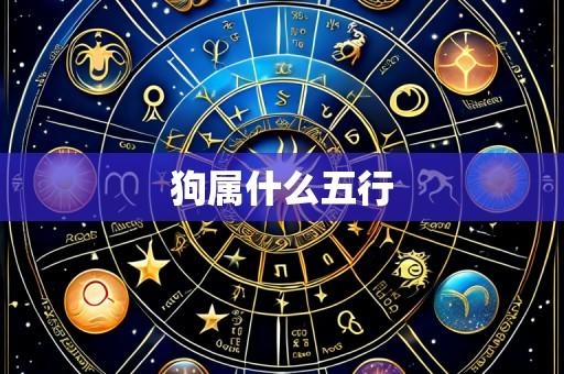 狗属什么五行