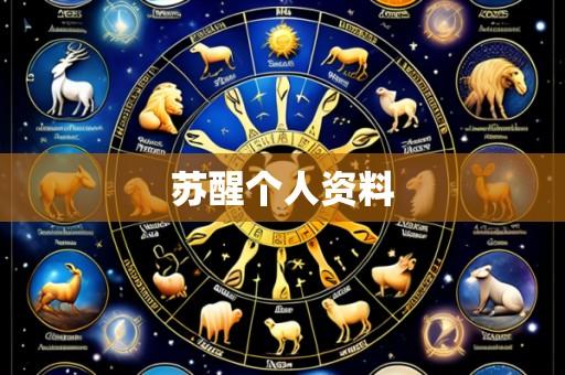 苏醒个人资料