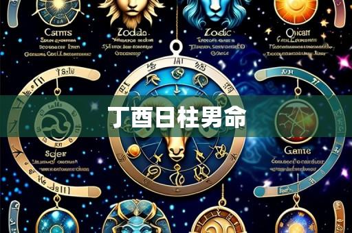 丁酉日柱男命