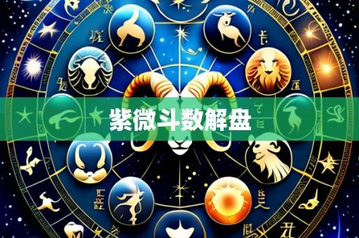 紫微斗数解盘