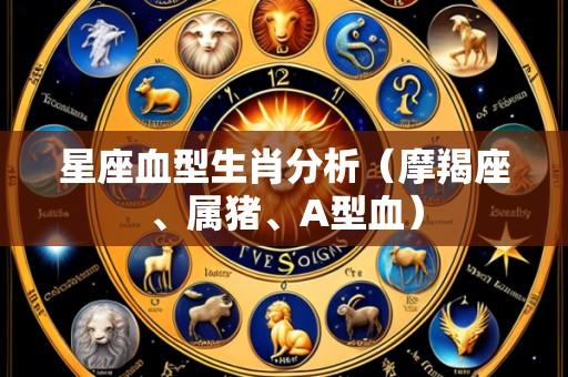 星座血型生肖分析(摩羯座、属猪、A型血)