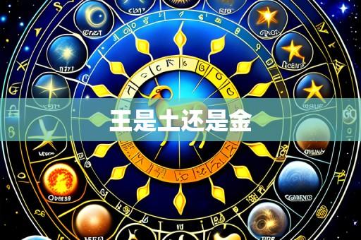 王是土还是金