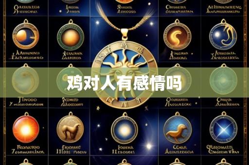 鸡对人有感情吗