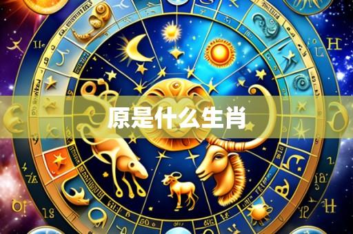 原是什么生肖