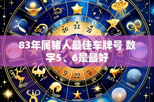 83年属猪人最佳车牌号 数字5、6是最好