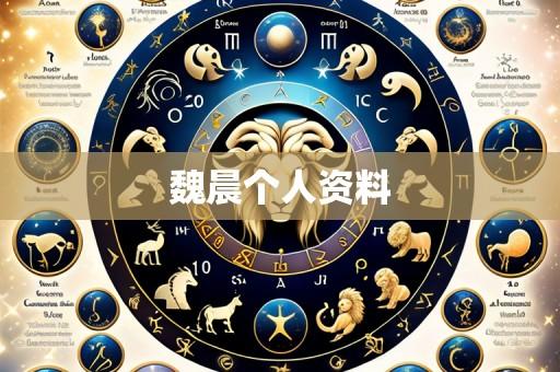 魏晨个人资料