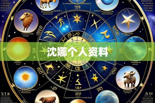 沈娜个人资料