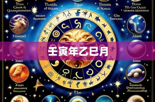 壬寅年乙巳月