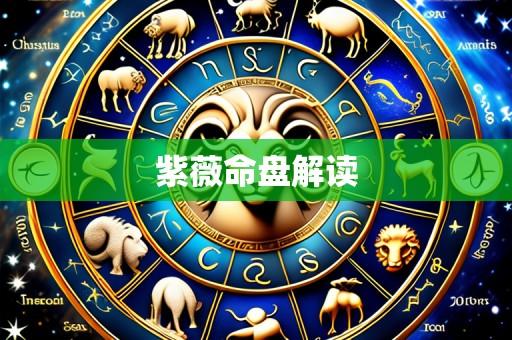 紫薇命盘解读