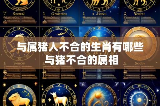 与属猪人不合的生肖有哪些 与猪不合的属相