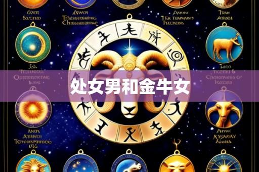 处女男和金牛女