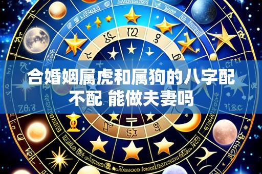 合婚姻属虎和属狗的八字配不配 能做夫妻吗