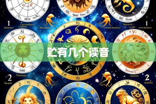 贮有几个读音