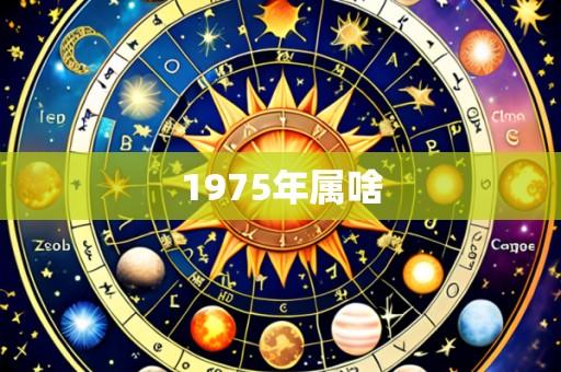 1975年属啥