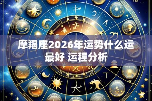 摩羯座2026年运势什么运最好 运程分析