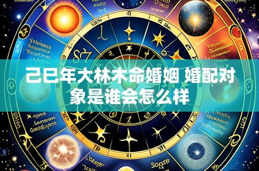 己巳年大林木命婚姻 婚配对象是谁会怎么样