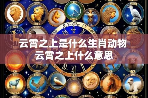 云霄之上是什么生肖动物 云霄之上什么意思