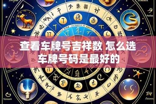 查看车牌号吉祥数 怎么选车牌号码是最好的