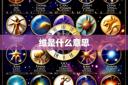 维是什么意思