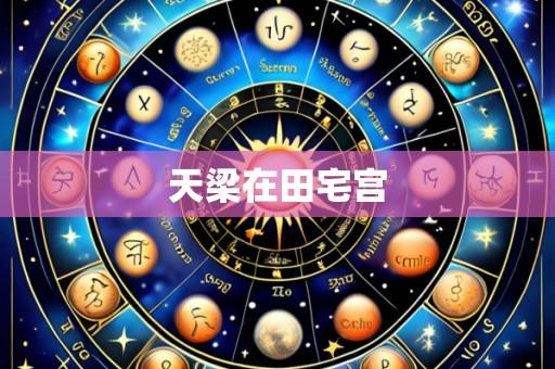 天梁在田宅宫