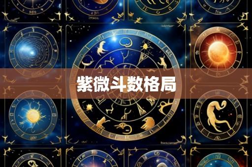 紫微斗数格局