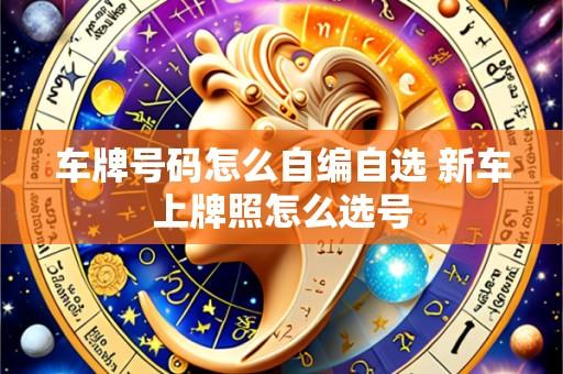 车牌号码怎么自编自选 新车上牌照怎么选号