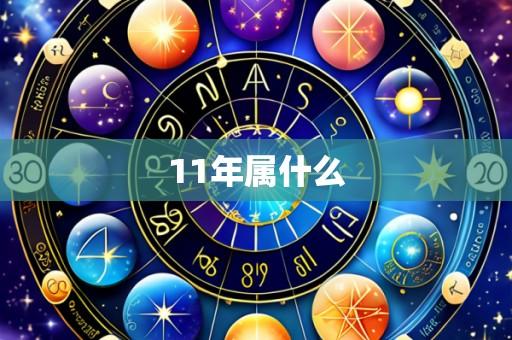 11年属什么