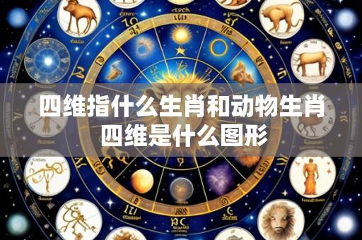 四维指什么生肖和动物生肖 四维是什么图形
