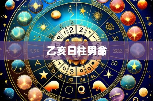 乙亥日柱男命