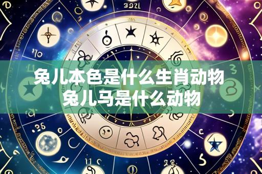 兔儿本色是什么生肖动物 兔儿马是什么动物