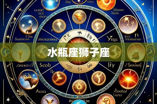 水瓶座狮子座