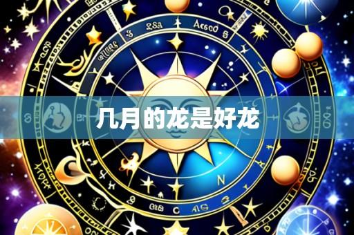 几月的龙是好龙