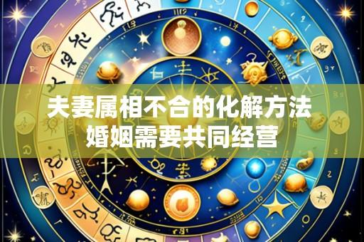 夫妻属相不合的化解方法 婚姻需要共同经营