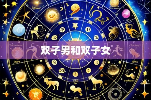 双子男和双子女