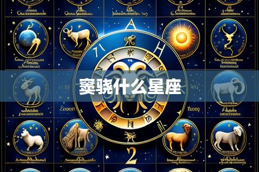 窦骁什么星座