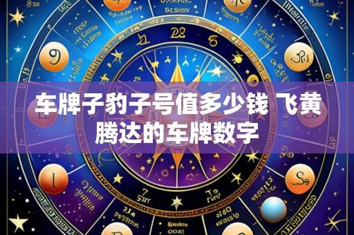车牌子豹子号值多少钱 飞黄腾达的车牌数字