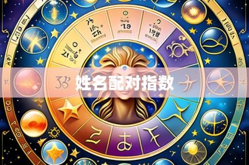 姓名配对指数