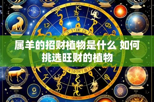 属羊的招财植物是什么 如何挑选旺财的植物