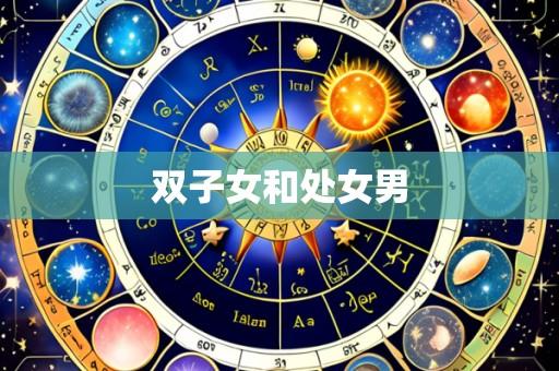 双子女和处女男