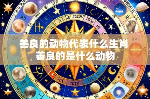 善良的动物代表什么生肖 善良的是什么动物