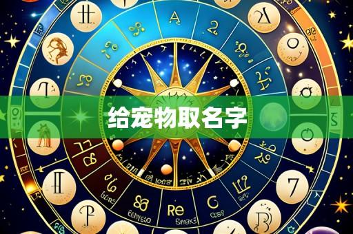 给宠物取名字