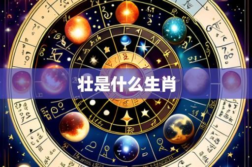 壮是什么生肖