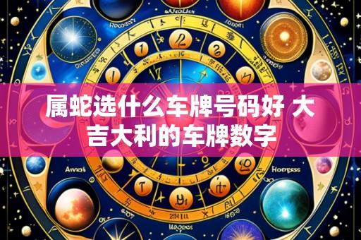 属蛇选什么车牌号码好 大吉大利的车牌数字