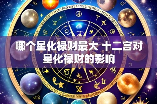 哪个星化禄财最大 十二宫对星化禄财的影响